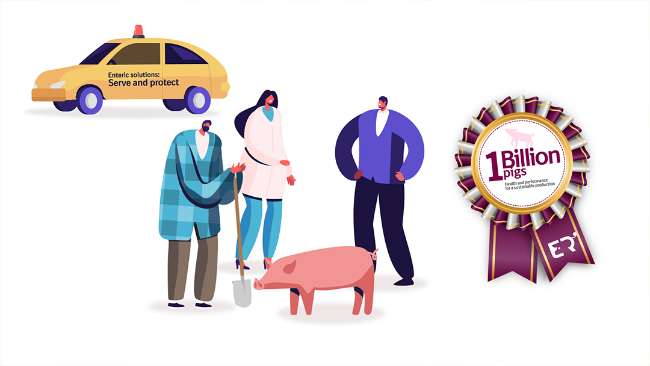 The Plan - Integrated GUT HEALTH Program - Video preview